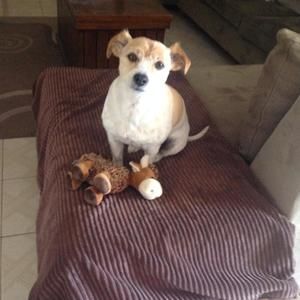 Meet your Posher, Suzanne